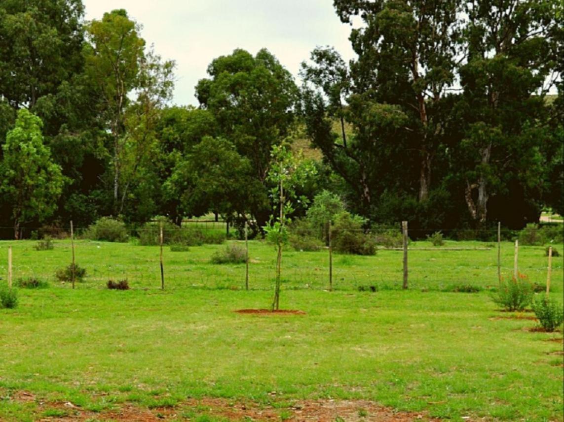 Little Farms Hotel Colesberg Kültér fotó