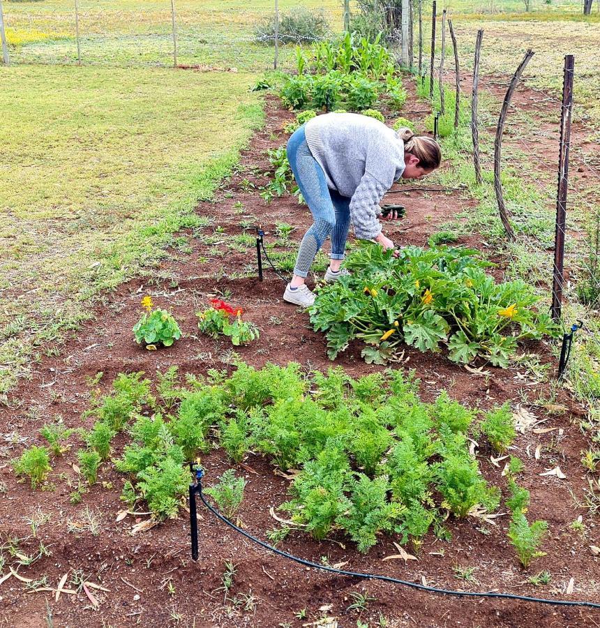 Little Farms Hotel Colesberg Kültér fotó