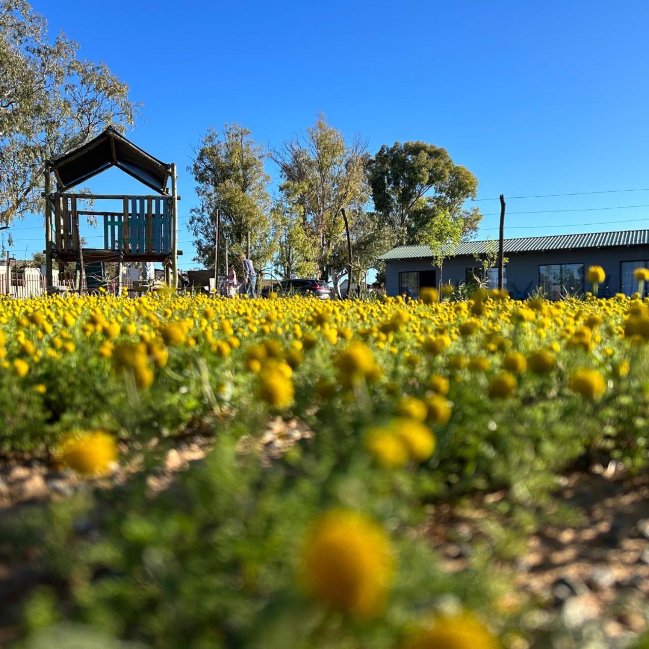 Little Farms Hotel Colesberg Kültér fotó